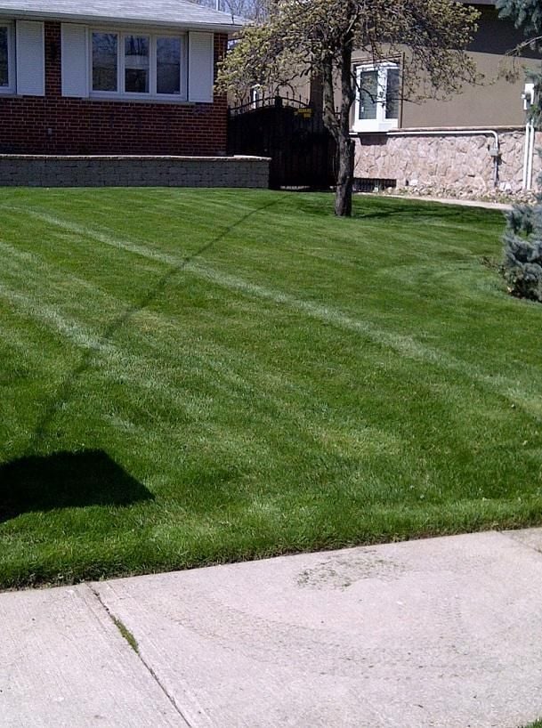 Great White Landscaping & Snow Removal Ltd