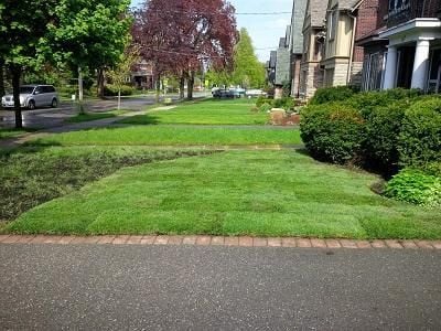 Great White Landscaping & Snow Removal Ltd